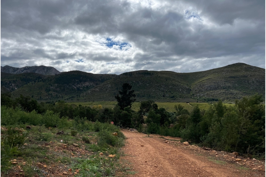 0 Bedroom Property for Sale in Haarlem Western Cape